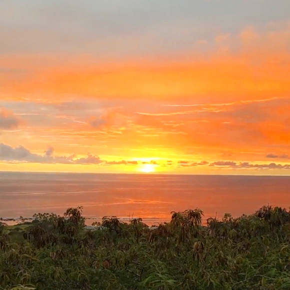 Meet your Posher, M - Picture 1 of 1